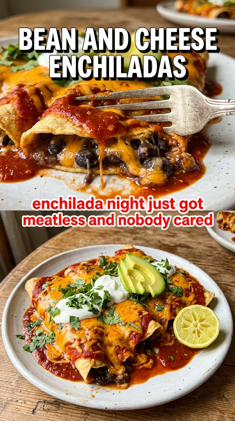Bean and Cheese Enchiladas creamy cheesy Tex-Mex