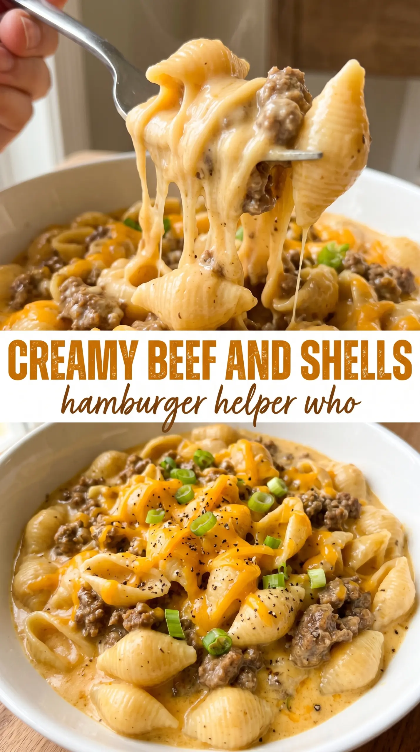 Creamy Beef and Shells rich cheesy pasta