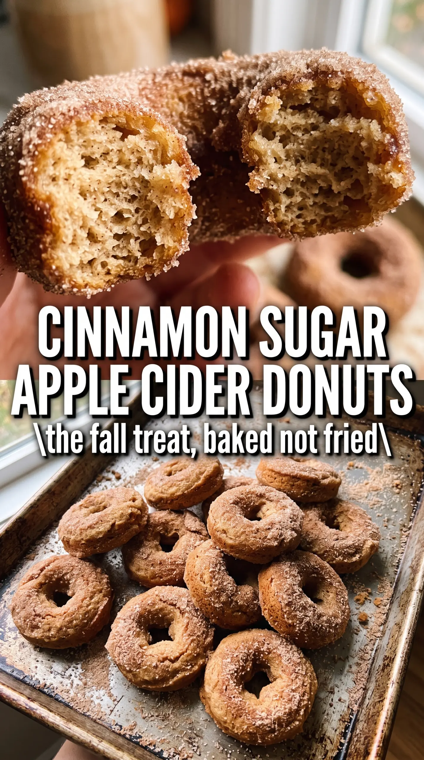 Baked Apple Cider Donuts golden cinnamon sugar