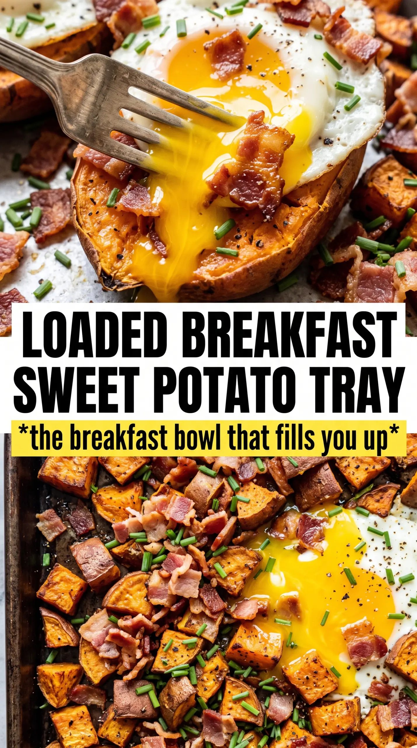 Breakfast sweet potato loaded with eggs, bacon, and cheddar