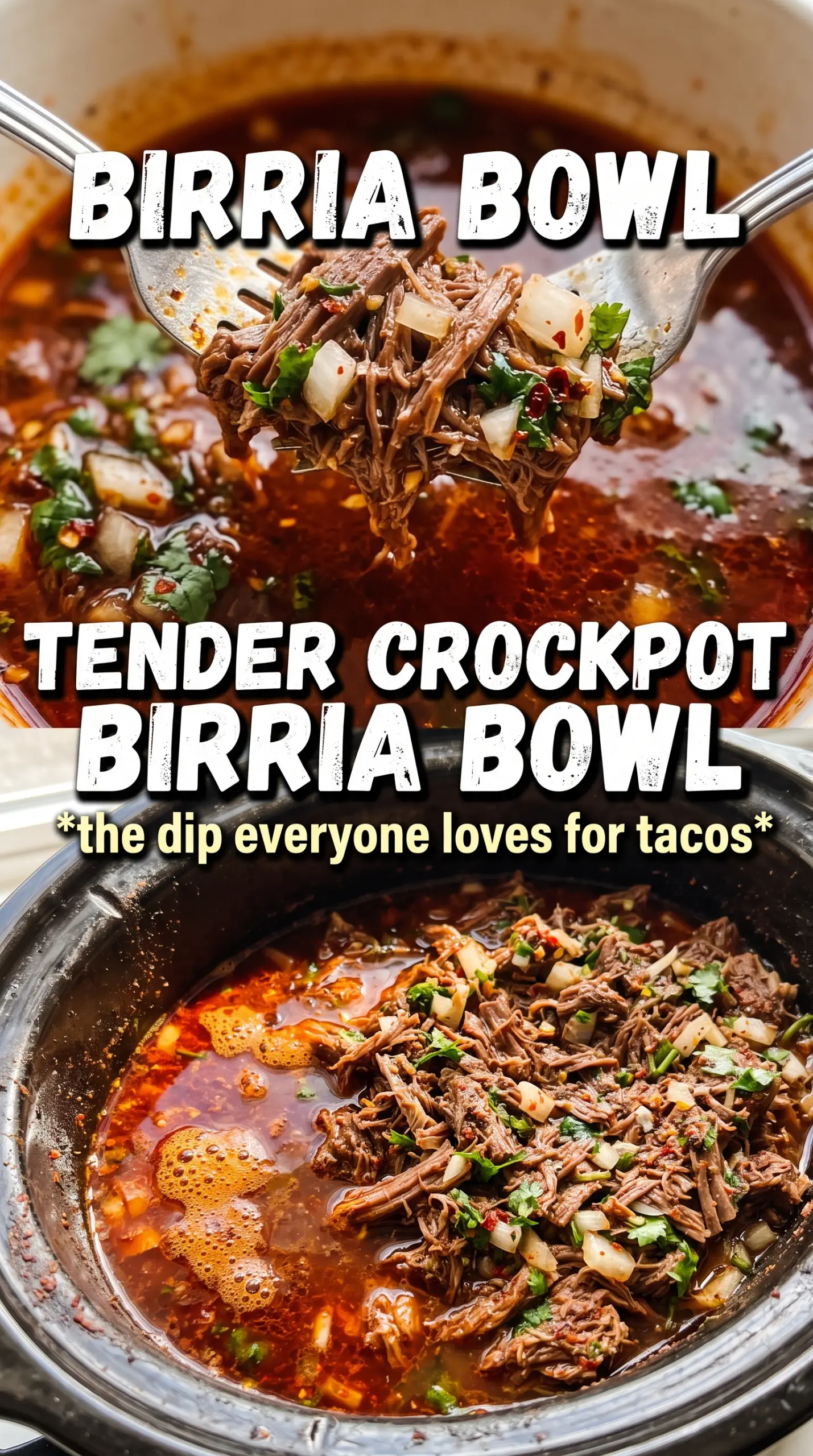 Crockpot Mexican birria rich consomé tender beef