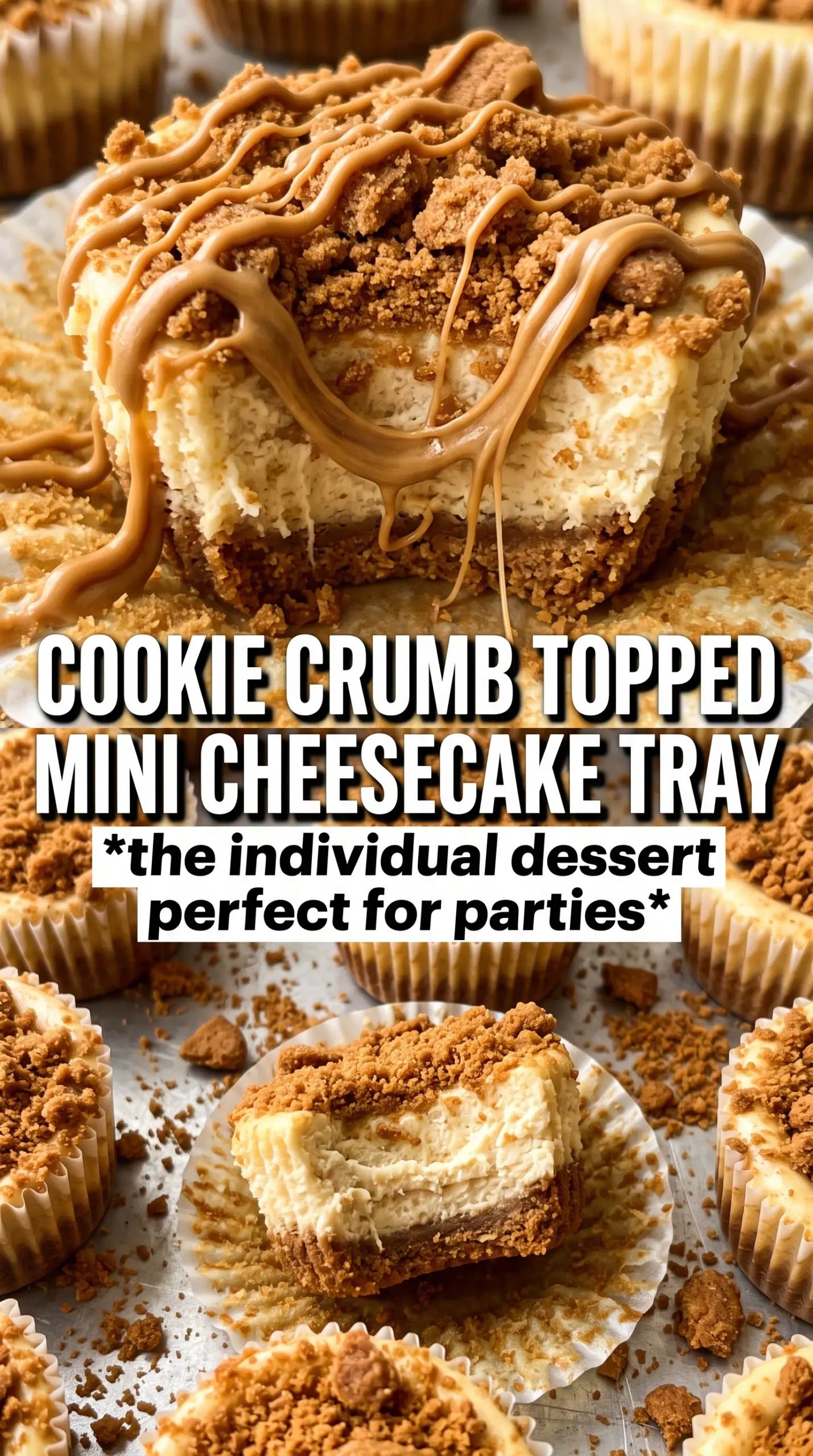 Mini Biscoff Cheesecakes creamy cookie butter